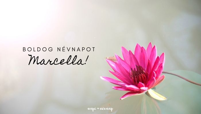 Marcella név üdvözlő borító