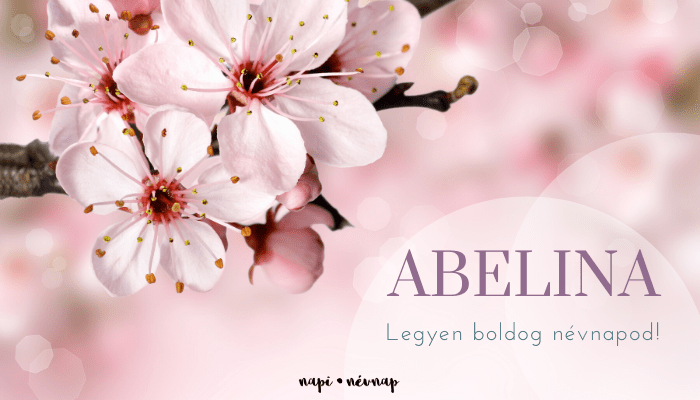 Abelina név üdvözlő borító