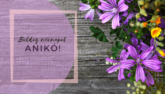 Anikó név üdvözlő borító
