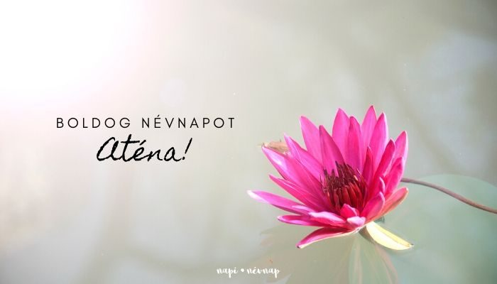 Aténa névnap üdvözlő borító