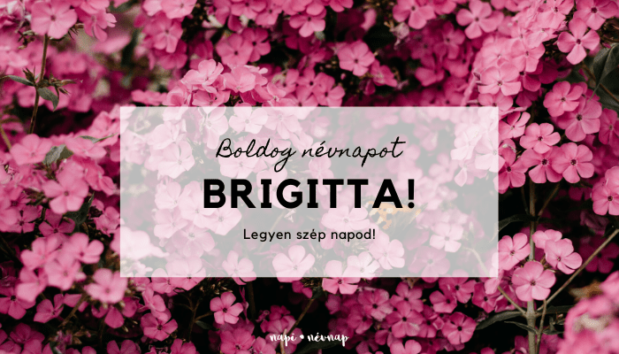 brigitta