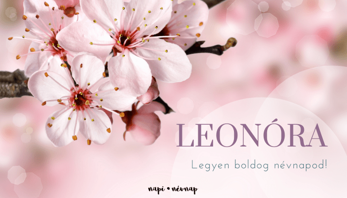 Leonóra név üdvözlő borító